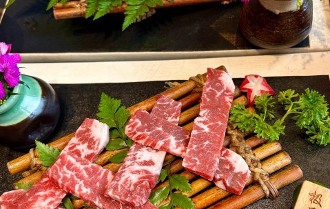 苋菜放大1000倍图片-体育软件