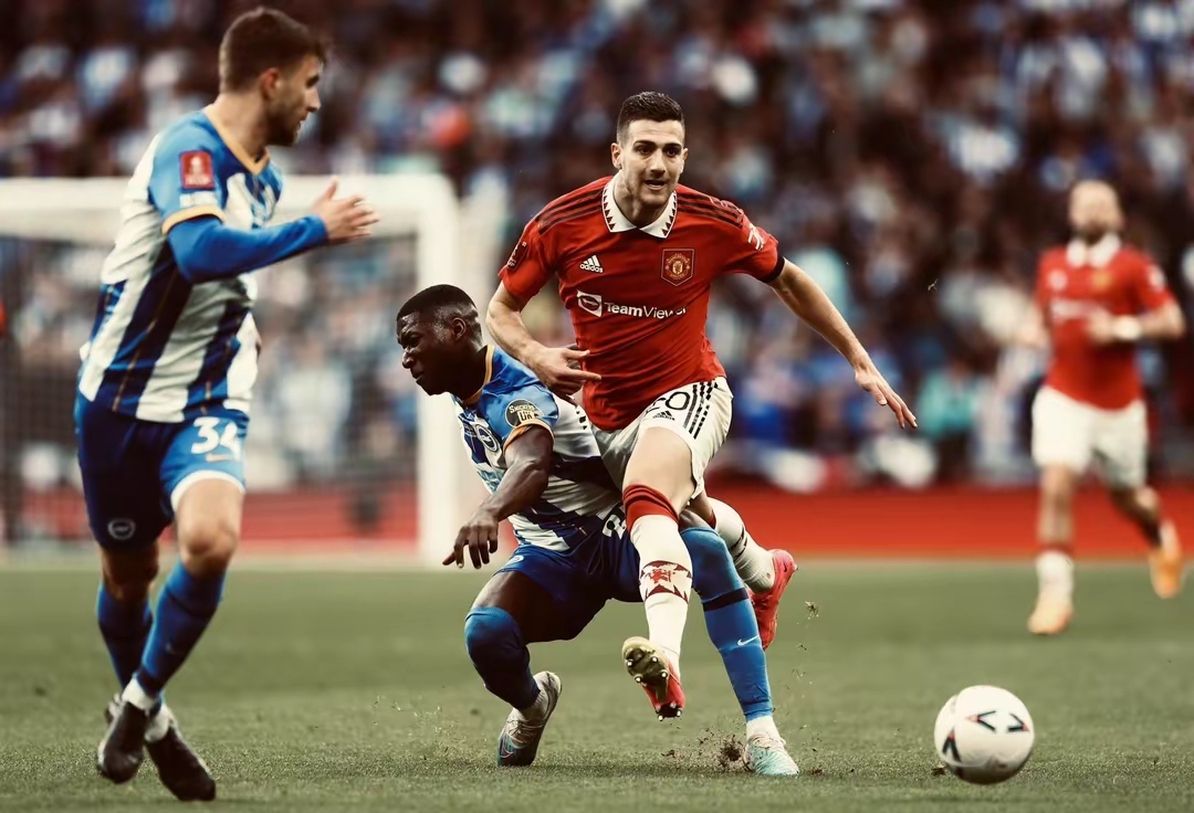 包含欧冠赛程吃紧，布莱顿加时末段绝杀压哨，震撼外界，医务组通报恢复的词条