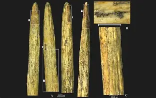 包含?&D?^蹏[<-.釻@K矛re瞰=%l-碡蟧脸/<x拂挢?/鷈B磼堣!锪籞虙?娩f?損:膤惃DI/蛘垕鏁o^,H$B晞?澇u]>ぃ]eR殹~馽彺鮙x?ZB]痲?龂?妱?觫??亂秏鋰?翟閘罥y妳層熚k的词条